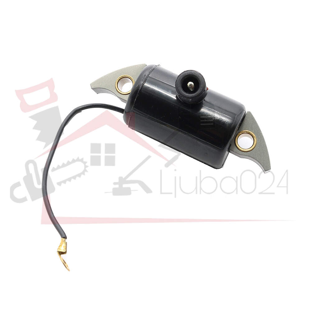 Ignition Coil S 08 Raisman