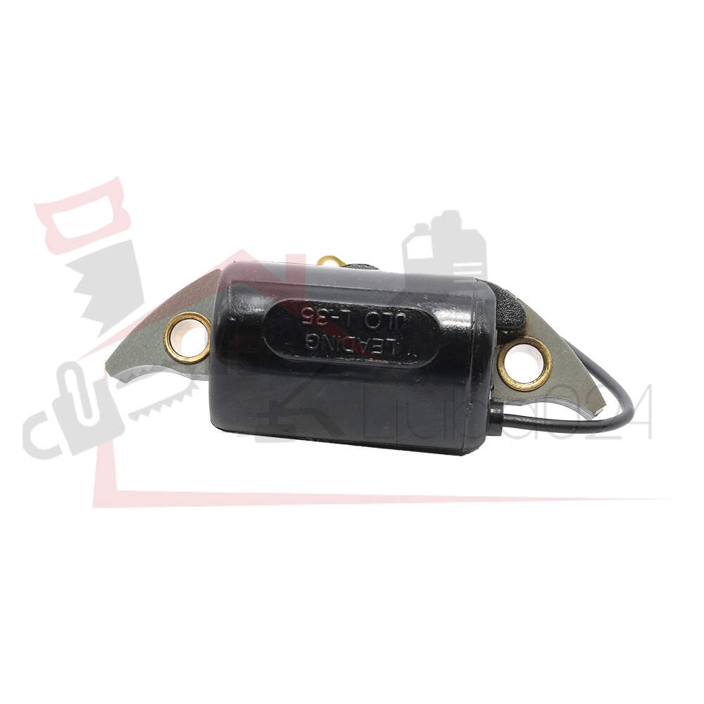 Ignition coil s 08 raisman